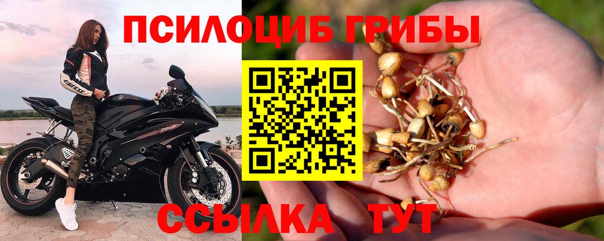 Галлюциногенные грибы MAGIC MUSHROOMS Ирбит